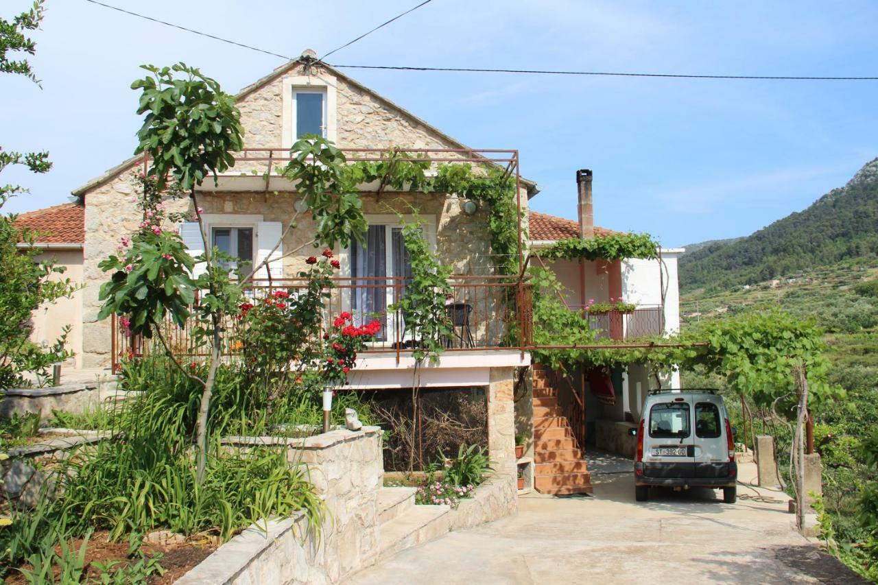Apartmani Ivankovic Vrisnik Luaran gambar