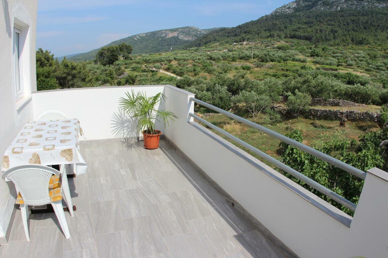 Apartmani Ivankovic Vrisnik Luaran gambar